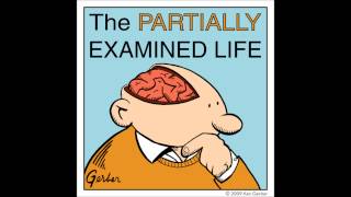 Partially Examined Life podcast  Quine  Two Dogmas of Empiricism [upl. by Balthasar578]