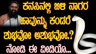 ಕನಸಿನಲ್ಲಿ ಬಿಳಿ ನಾಗರಹಾವು ಬಂದರೆ ಫಲವೇನು ಅಥವಾ ಶುಭವೋ ಅಶುಭವೋ  MA Kannada [upl. by Nelda]