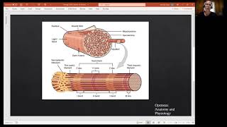 Biology 2010 Chapter 10 Skeletal Muscle Tissue Muscle Fiber Video 4 [upl. by Guglielmo]