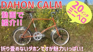 【動画カタログ】DAHON CALMの詳細を紹介をします！【ダホン・カーム】 [upl. by Ainevul855]