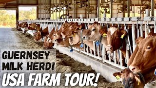 Touring Hoards Dairyman Farm [upl. by Nichani]