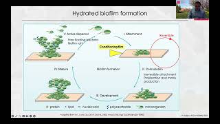 Salmonella enterica Dry Surface Biofilms and the Need for New Sanitation Practices in Foodservice [upl. by Anaibib]