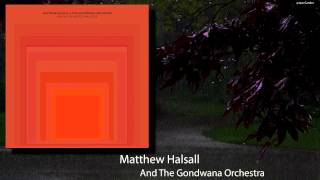 Matthew Halsall and The Gondwana Orchestra  When The World Was One [upl. by Lednor]