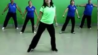 Baile Aerobico para Principiantes [upl. by Daryle]