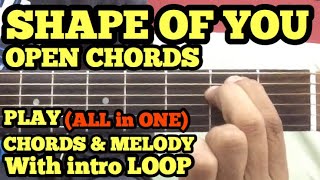 Shape Of You Guitar Chords Lesson with intro Tabs  Easy amp Open Chords  Ed Sheeran  FUXiNO [upl. by Leaj]