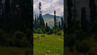 Arrang kel VillageNeelam valleyAzad Kashmir Pakistan [upl. by Flem688]