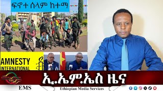 EMS ዜና Wed 06 Nov 2024 [upl. by Enerual]