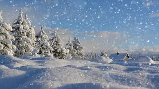 Winter wonderland with relaxing piano music Smart TV background video [upl. by Yenal120]