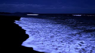 Deep Sleeping 10 Hour  Best Ocean Sounds Soothing Waves In Quiet Night For Healing Body Mind [upl. by Aronaele928]