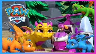 Pups Stop Humdinger’s Kitty Rescue Crew and More  PAW Patrol  Cartoons for Kids [upl. by Noemis]