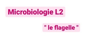 Microbiologie L2  le flagelle [upl. by Niveb323]