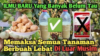 LANGSUNG DIBUKTIKAN  Cuma Dengan Sekali Kocor Saja Semua Tanaman Berbuah Selebat Ini‼️ [upl. by Ingrid]