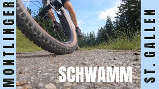 2024 MTB Montlinger Schwamm [upl. by Ydassac]