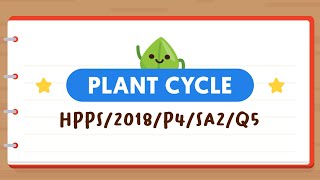 PSLE SCIENCE MADE SIMPLE EP145  Plant Cycle  Differentiate Between Types Of Plants 🌱 [upl. by Ezirtaeb718]