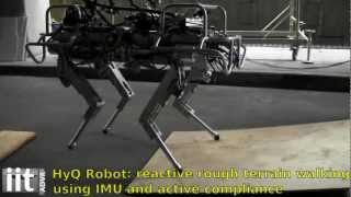 HyQ  IITs Hydraulic Quadruped Robot  Balancing and First Outdoor Tests [upl. by Alema499]