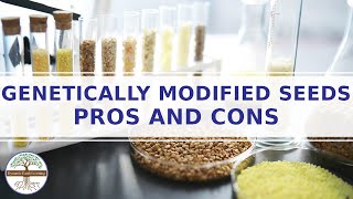 Genetically Modified Seeds Pros and Cons ELearning Video [upl. by Halyhs]