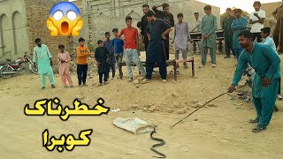 Gaon walon ne pkra bra sa Cobra sanp 🤗😱 Best VlogsPendu munda vlogs [upl. by Allister891]