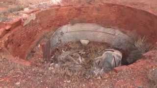 Part 5 MurchisonGold Fields Ghost town and Ghost mine tour 2015 [upl. by Trici205]