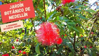 Exploring Jardín Botánico de Medellín  Colombias Breathtaking Botanical Garden [upl. by Mona]