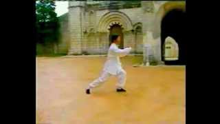 Su Chin Piao Yang Taiji quan 108 mvt [upl. by Cita810]