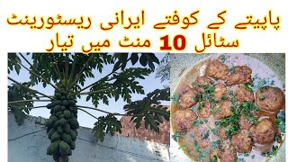 kofte curry recipe resturant stail Papaya ke kofte Papeeta ke fry kofte [upl. by Eyt446]