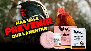 El mejor preventivo para enfermedades respiratorias RESPIREX [upl. by Eekram]