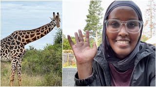 Qaraabo caafimadka Beertayda  Himilo Farm ☘️ Nairobi National Park 🦒 🦌 garden somali subscribe [upl. by Oleic]