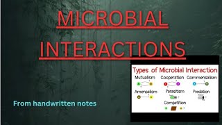 MICROBIALINTERACTION microbial microbialgenetics microorganism [upl. by Anse]