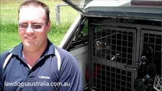 German Shepherd Law Dogs Training  Stanthorpe Queensland Australia [upl. by Herrington]