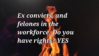 Ex convicts in the workforce You have the same rights as everyone else [upl. by Ynhoj]