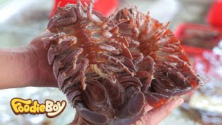 Extreme Seafood Cooking Giant Isopod in Vietnam [upl. by Cecilla]