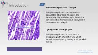 【know tungsten】phosphotungstic acid application [upl. by Lexis]