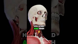 Human eye muscles are the strongest muscles in the body 😱 medical facts part 2 trending shorts [upl. by Chaffin]