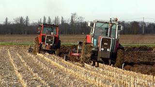 MF 1105 and 2645 plowing [upl. by Guglielma]