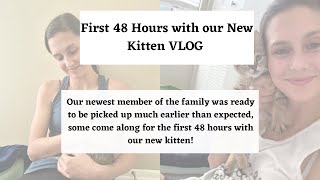 We Adopted a Kitten  First 48 hours with a new kitten VLOG [upl. by Cornelius895]