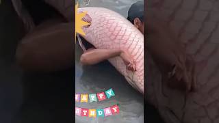 কি করছে দেখুন fishing  fish 🐠 🔥 [upl. by Siloam]