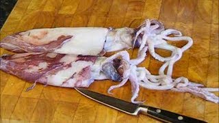 How To Clean Prepare amp Cook Squid In Real Time SRP [upl. by Aural]