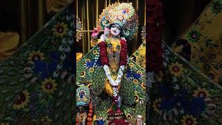 🌼Jai Shree Radha Krishna 🌼KrishnaShyam Radhavallabh009 GauriGopalAshramVrindavan [upl. by Akemyt]