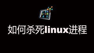 杀死linux进程的几种方法  How to kill process [upl. by Attelahs]