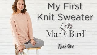 BEGINNER My First Knit Sweater  Week 1 [upl. by Catton]