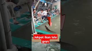 PEMANCING INI DAPAT IKAN LELE SUPER BESAR ‼️ shorts fishing mancing [upl. by Yerg]