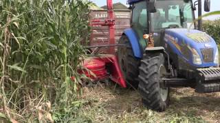 FIMAKS BIGDRUM 1250 2 SIRA MISIR SİLAJ  2 ROWS MAIZE CHOPPER [upl. by Alliuqal429]