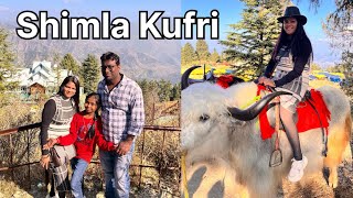 Our ।।nd day kufri shimla 👍🏼 avanishkumarverma [upl. by Bonney]