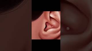 Ear Cleaning Wax Removal ASMR Animation [upl. by Greenwell]