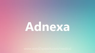 Adnexa  Medical Meaning [upl. by Senoj]