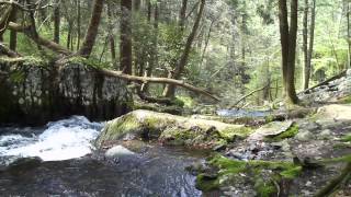 Tillman Ravine  Stokes State Forest  njHikingcom [upl. by Carroll114]