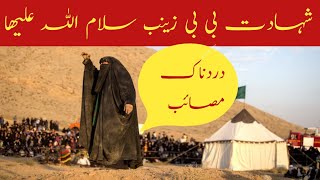 shahdat bibi Zainab sa15 Rajab shahdat bibi Zainab s a drdnak masiab bibi Zainabwaiqa karbala [upl. by Koziel]