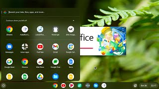 Chrome OS Flex Installing Linux Apps amp 4 Month Review of Google’s New PC OS [upl. by Amaral]