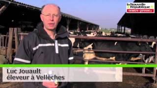 VIDEO Vellèches un éleveur soigne ses vaches avec des huil [upl. by Nivlag]