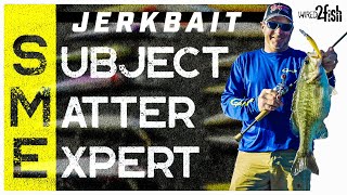 Master The Art Of Jerkbait Fishing Your Complete Guide [upl. by Tahp]